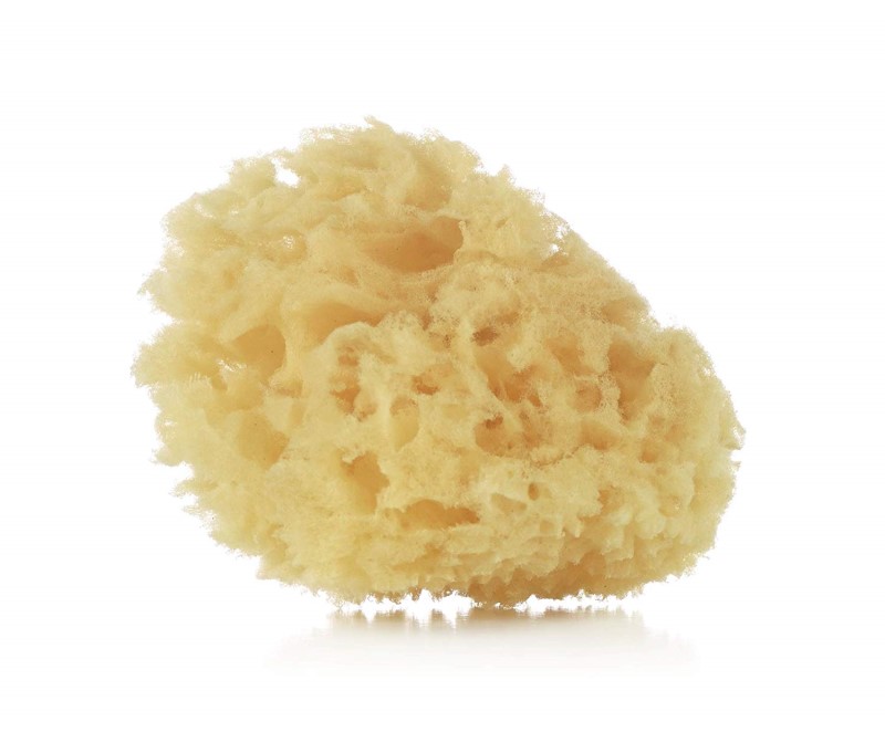 88860-ESPONJA NATURAL JANE X2(13-8)-0